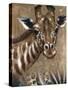 Giraffe on Print-Patricia Pinto-Stretched Canvas