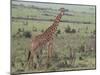 Giraffe on the Savanna-DLILLC-Mounted Photographic Print