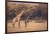 Giraffe on the Savanna-DLILLC-Framed Photographic Print