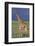 Giraffe on the Savanna-DLILLC-Framed Photographic Print