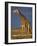 Giraffe Portrait at Sunset, Etosha Np, Nambia-Tony Heald-Framed Photographic Print