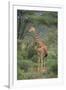 Giraffe Protecting Her Young from Predation-DLILLC-Framed Photographic Print