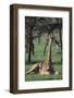 Giraffe Resting in the Grass-DLILLC-Framed Photographic Print