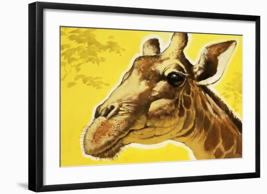 Giraffe's Head-Angus Mcbride-Framed Giclee Print