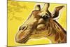 Giraffe's Head-Angus Mcbride-Mounted Giclee Print