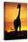 Giraffe Silhouetted at Sunset-null-Stretched Canvas