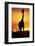 Giraffe Silhouetted at Sunset-null-Framed Photographic Print