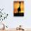 Giraffe Silhouetted at Sunset-null-Stretched Canvas displayed on a wall