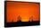 Giraffe Silhouettes at Sunset-Paul Souders-Framed Stretched Canvas