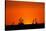 Giraffe Silhouettes at Sunset-Paul Souders-Stretched Canvas