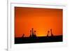 Giraffe Silhouettes at Sunset-Paul Souders-Framed Photographic Print