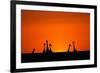 Giraffe Silhouettes at Sunset-Paul Souders-Framed Photographic Print