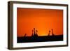 Giraffe Silhouettes at Sunset-Paul Souders-Framed Photographic Print