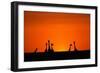 Giraffe Silhouettes at Sunset-Paul Souders-Framed Photographic Print