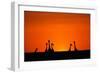 Giraffe Silhouettes at Sunset-Paul Souders-Framed Photographic Print