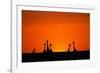 Giraffe Silhouettes at Sunset-Paul Souders-Framed Photographic Print