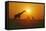 Giraffe Silhouettes-null-Framed Stretched Canvas