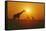 Giraffe Silhouettes-null-Framed Stretched Canvas