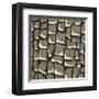 Giraffe Skin-Susan Clickner-Framed Giclee Print