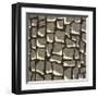 Giraffe Skin-Susan Clickner-Framed Giclee Print