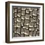 Giraffe Skin-Susan Clickner-Framed Giclee Print