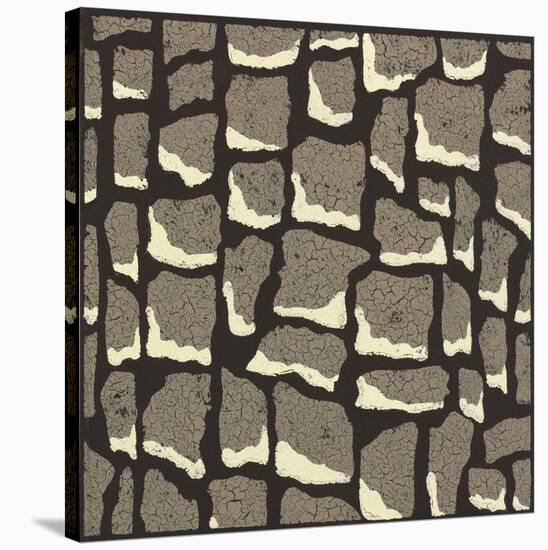 Giraffe Skin-Susan Clickner-Stretched Canvas