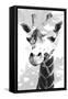 Giraffe study  I-Alonzo Saunders-Framed Stretched Canvas