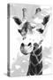 Giraffe study  I-Alonzo Saunders-Stretched Canvas