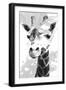 Giraffe study  I-Alonzo Saunders-Framed Art Print