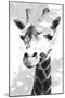 Giraffe study  I-Alonzo Saunders-Mounted Art Print