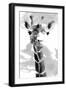 Giraffe study  II-Alonzo Saunders-Framed Art Print