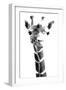 Giraffe study  IV-Alonzo Saunders-Framed Art Print