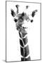 Giraffe study  IV-Alonzo Saunders-Mounted Art Print