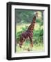 Giraffe, Tanzania-David Northcott-Framed Photographic Print