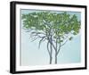 Giraffe Tree-Gaetan Caron-Framed Giclee Print