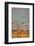 Giraffe, Tsavo West National Park, Africa-John Wilson-Framed Photographic Print