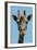 Giraffe Up Close-Lantern Press-Framed Art Print