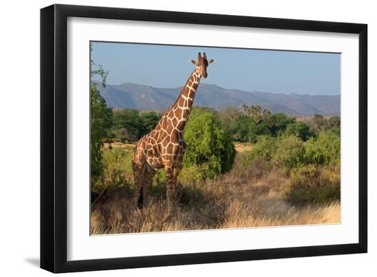 Premium Photographic Print, , large