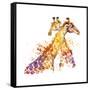 Giraffe Watercolor Illustration with Splash Textured Background.-Faenkova Elena-Framed Stretched Canvas