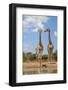 Giraffe - Wildlife from Africa - Looking at Life and Wonder from High Above-Naturally Africa-Framed Photographic Print