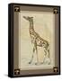 Giraffe with Border I-null-Framed Stretched Canvas