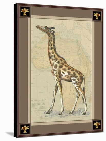 Giraffe with Border I-null-Stretched Canvas