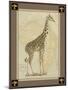 Giraffe with Border II-null-Mounted Art Print