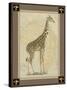 Giraffe with Border II-null-Stretched Canvas