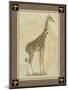 Giraffe with Border II-null-Mounted Art Print