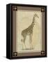 Giraffe with Border II-null-Framed Stretched Canvas