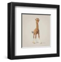 Giraffe-John Butler Art-Framed Art Print