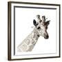 Giraffe-Philippe Debongnie-Framed Art Print