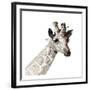 Giraffe-Philippe Debongnie-Framed Art Print