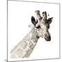 Giraffe-Philippe Debongnie-Mounted Art Print